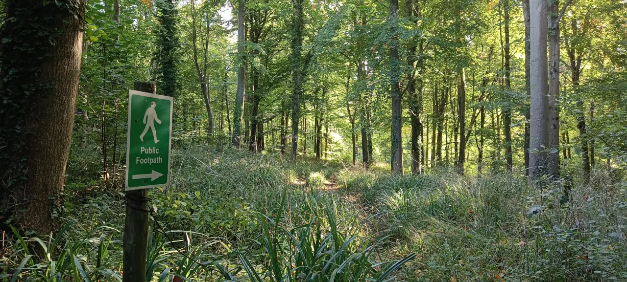 Footpath into the woods from Kingweston.