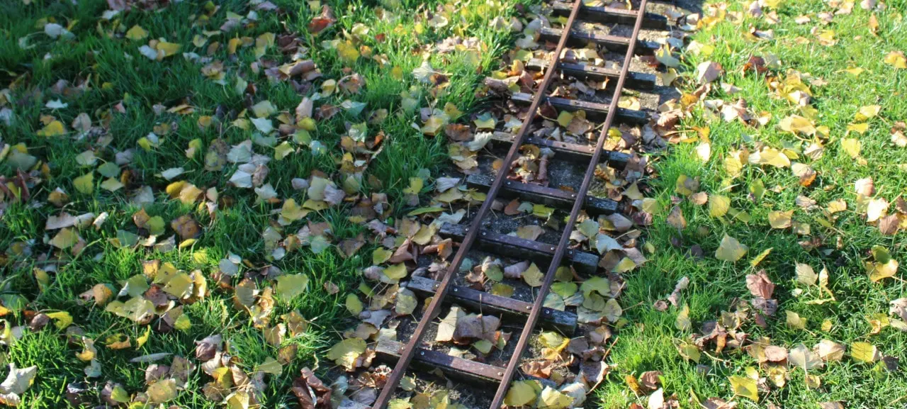 Tiny gauge rail track through leaves.